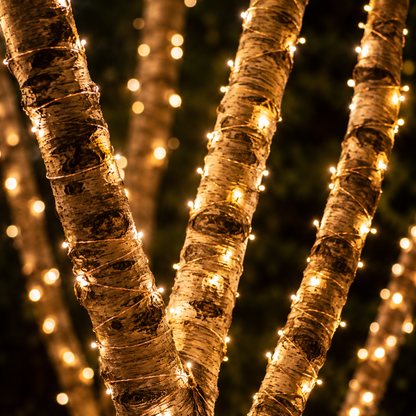 Solar Glow Lights