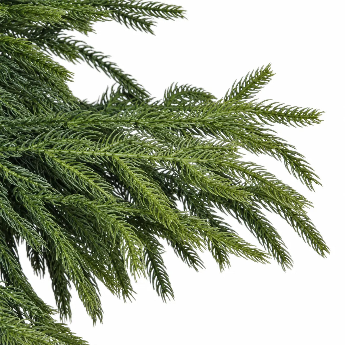 Real Touch Norfolk Pine Stems